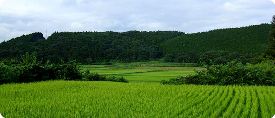 kitaibaraki.jpg