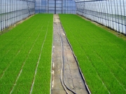 photo8.jpg