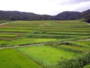 photo2.jpg